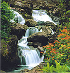 阳春八景之一