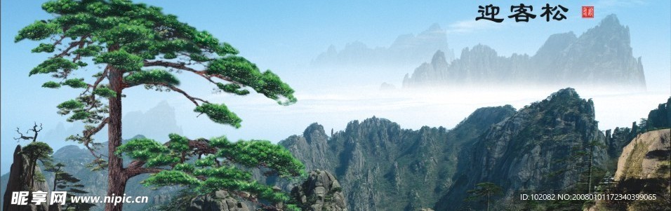 精品黄山迎客松