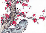 国画-梅
