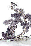 国画-松