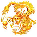 矢量金龙