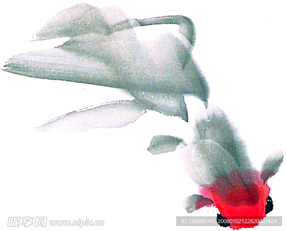 水墨金鱼