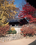韩国18