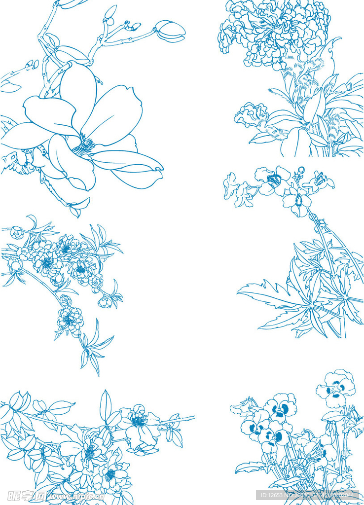精品白描花卉