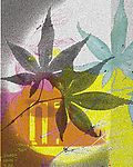 抽象背景图片