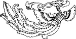 凤纹