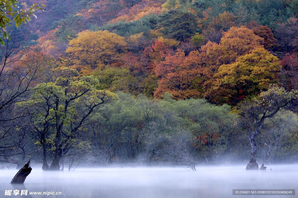 自然风景
