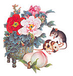 生肖鼠11