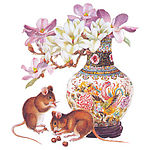 生肖鼠12
