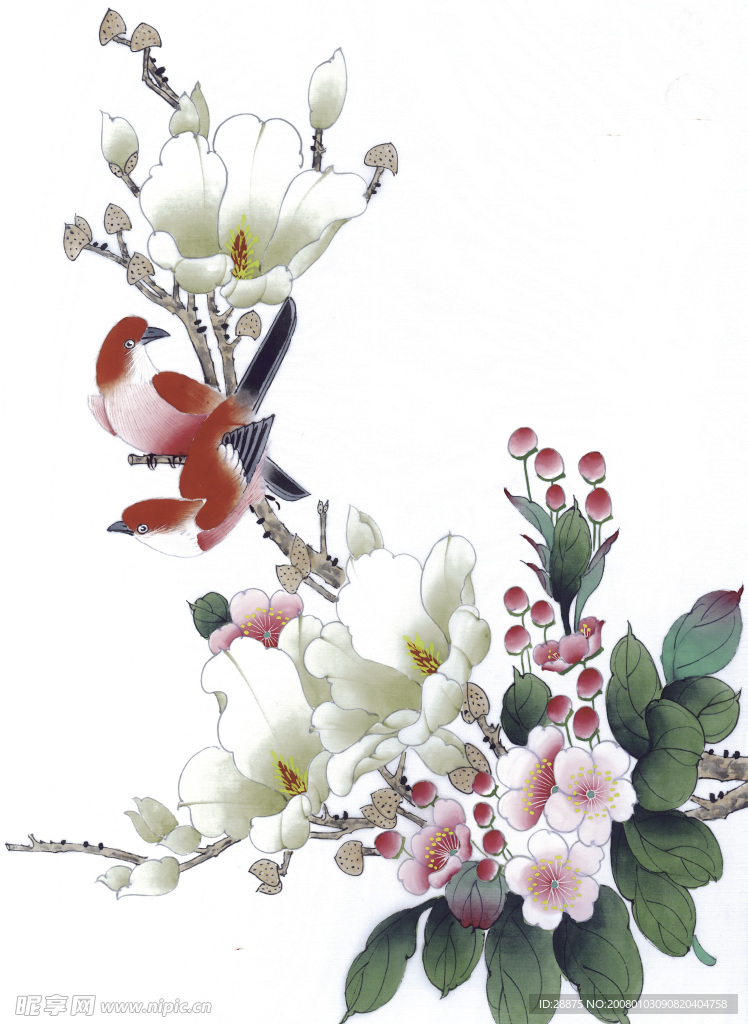 花 鸟