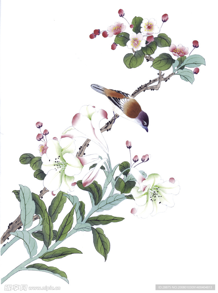 花 鸟