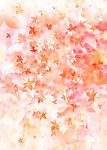 背景花纹