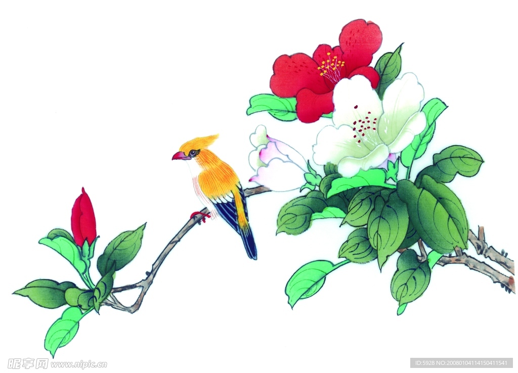 花鸟国画
