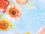 花瓣