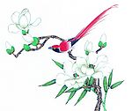 花鸟国画