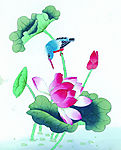荷花
