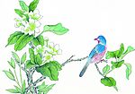 花鸟国画