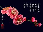 梅花
