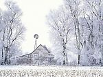 雪林