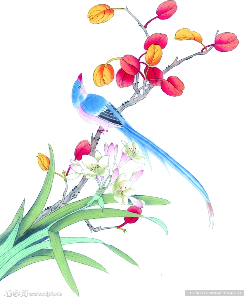 花鸟国画