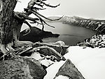 冬雪