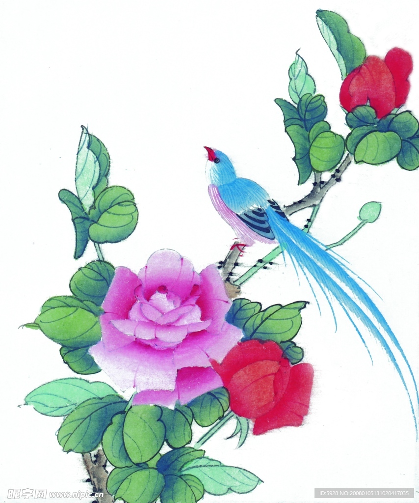 花鸟国画