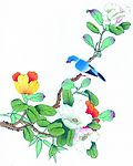 花鸟国画