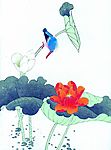 花鸟国画