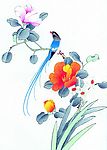 花鸟国画