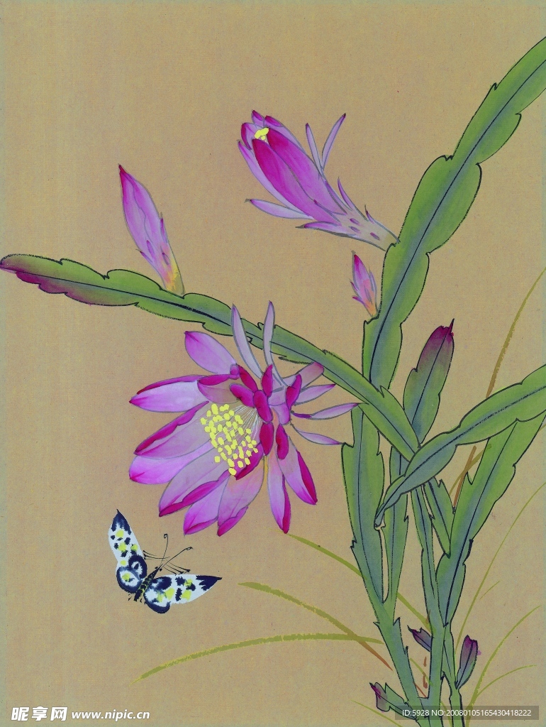 花鸟国画