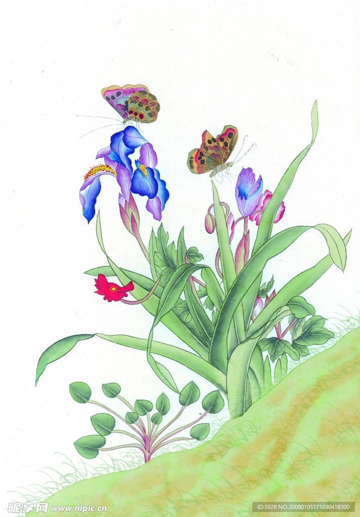 花鸟国画