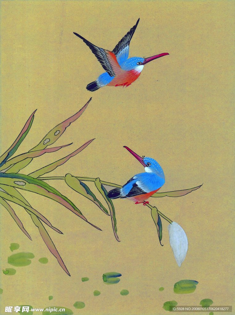 花鸟国画