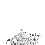 植物剪影psd