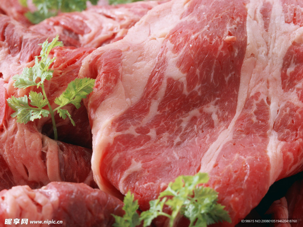 鲜肉