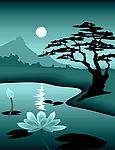 夜景荷塘池