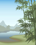竹林风景