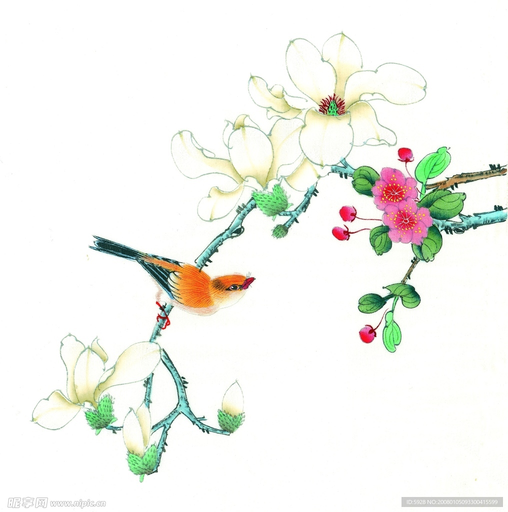 花鸟国画