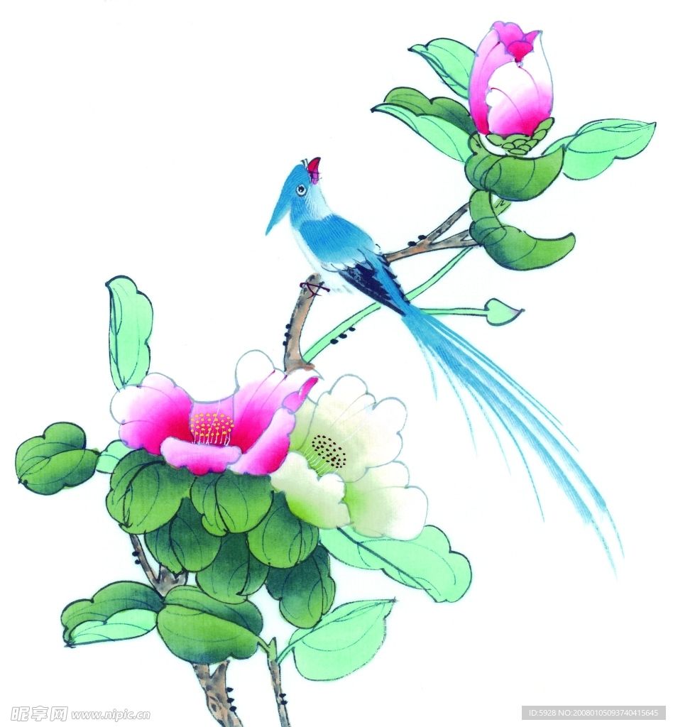 花鸟国画