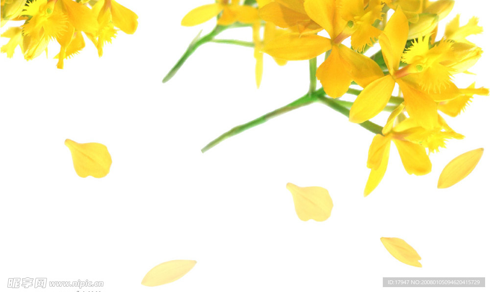 散花
