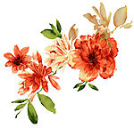 花花