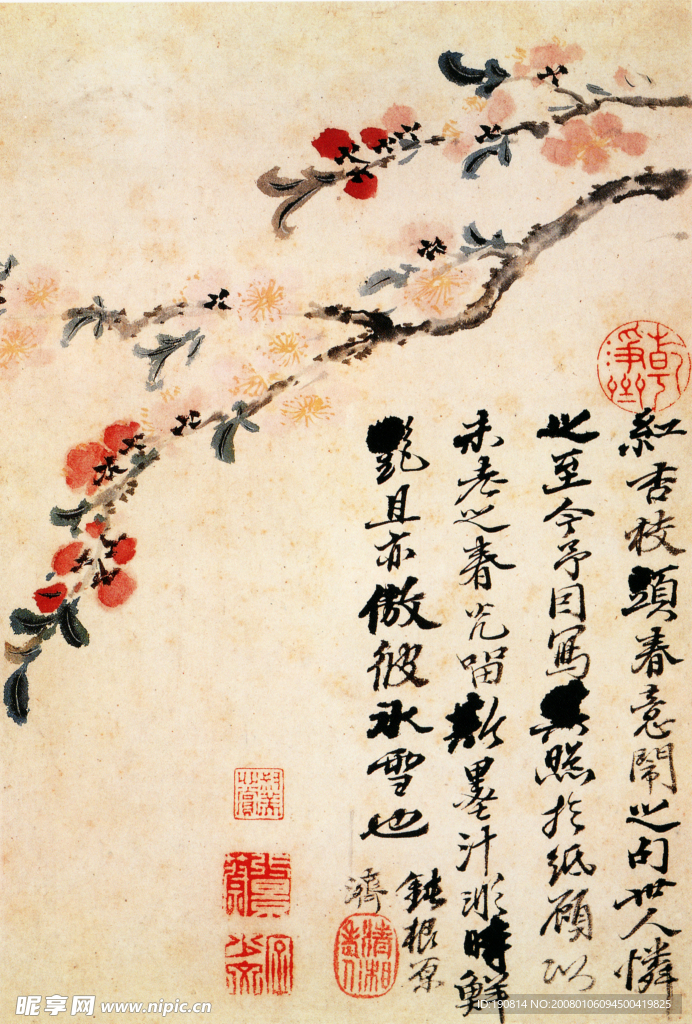 花卉图a