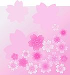 花纹