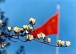 中国风情