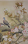 芙蓉花