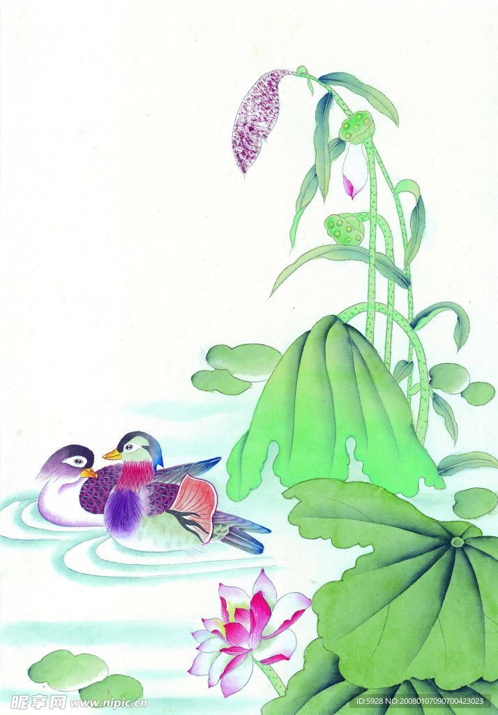 花鸟国画