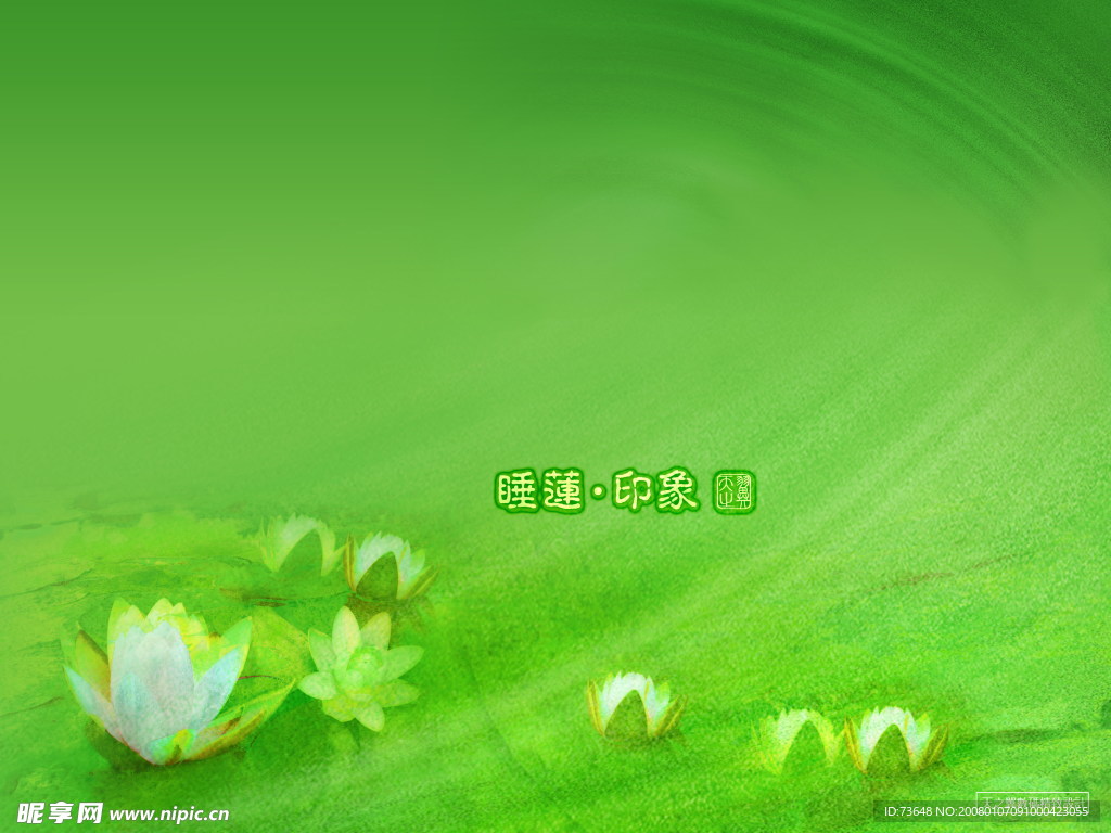 荷花