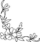 花边29