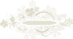冬季 精美 矢量 花纹 底纹边框