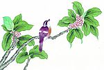 花鸟国画