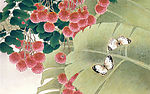 花鸟手绘